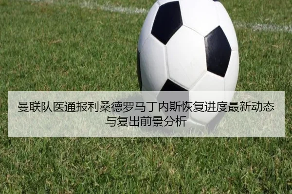 曼联队医通报利桑德罗马丁内斯恢复进度最新动态与复出前景分析