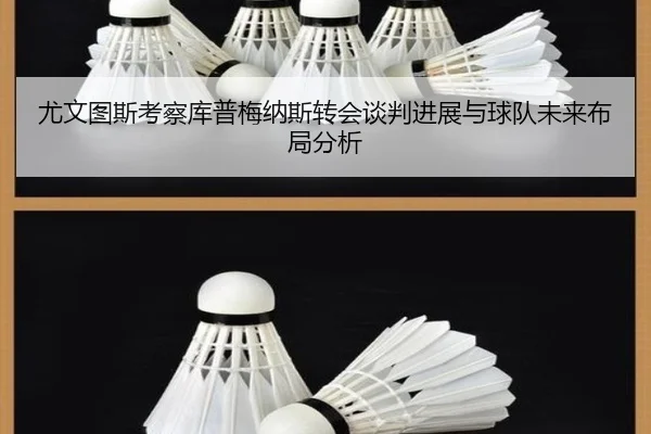 尤文图斯考察库普梅纳斯转会谈判进展与球队未来布局分析（aoko）